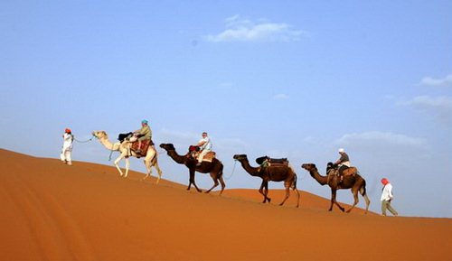 Safari – Du lịch môi trường xuyên sa mạc tại Ai Cập